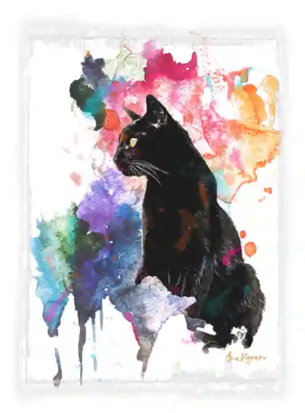Zi, o negro gato by AV